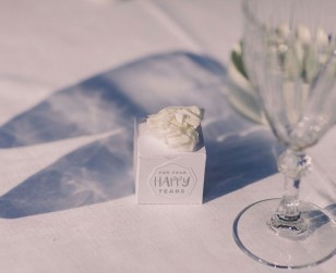 Wedding-Michel&Tala-04