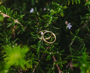 Wedding-Michel&Tala-13