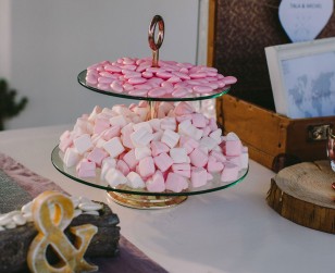 Wedding-Michel&Tala-28